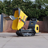 Rupsdumper Huren Post Rental